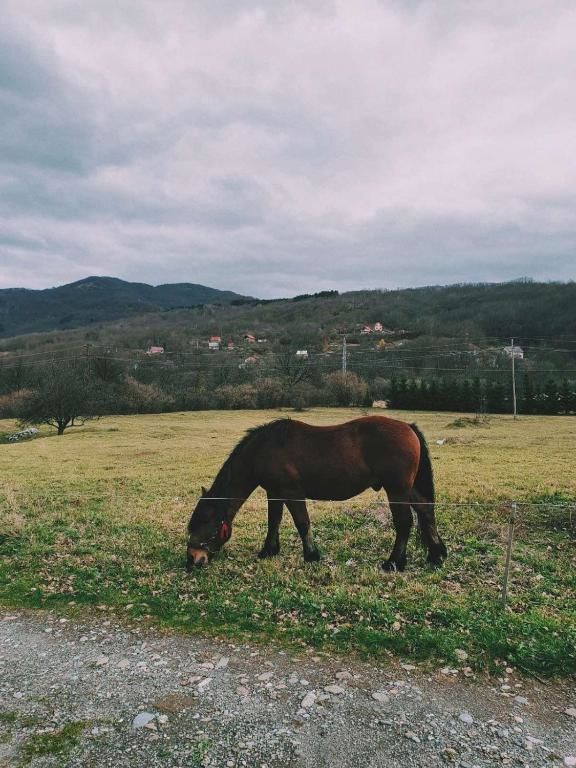 Дома для отпуска Holiday Home Ciara Колашин