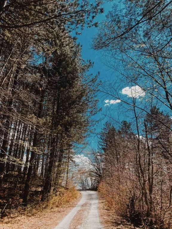 Дома для отпуска Holiday Home Ciara Колашин