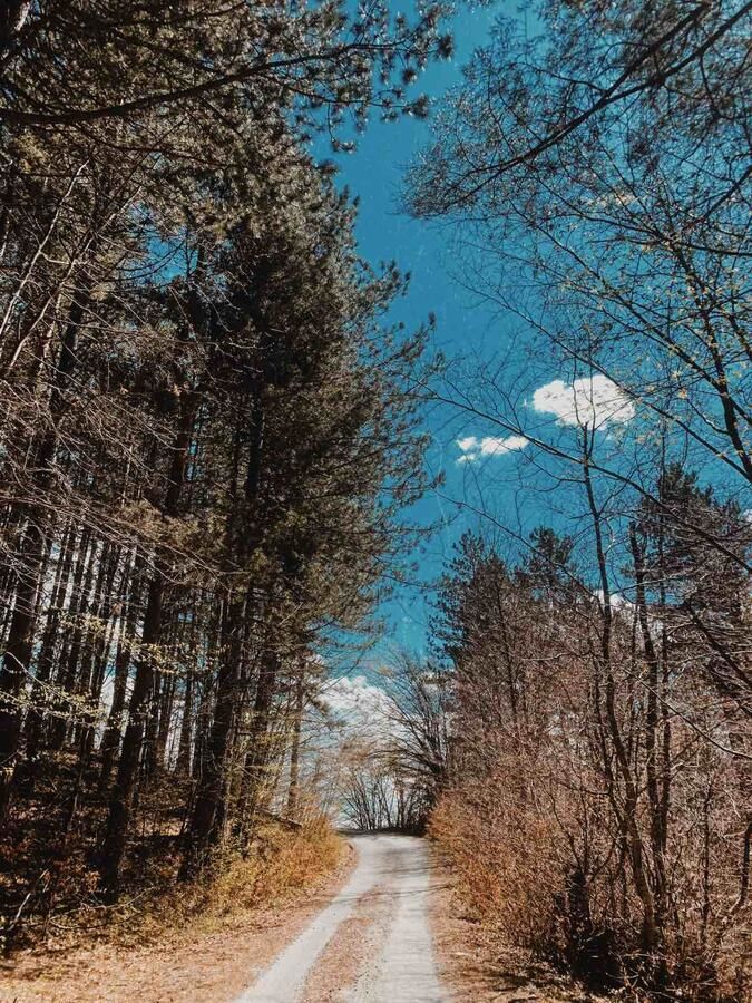 Дома для отпуска Holiday Home Ciara Колашин