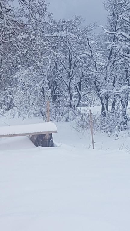 Дома для отпуска Holiday Home Ciara Колашин