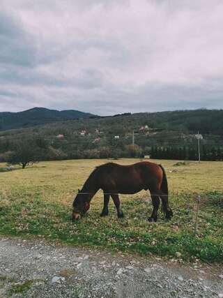 Дома для отпуска Holiday Home Ciara Колашин Дом с 3 спальнями-104