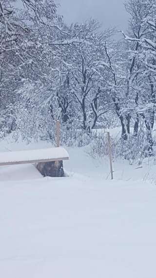 Дома для отпуска Holiday Home Ciara Колашин Дом с 3 спальнями-70