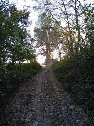 Дома для отпуска Holiday Home Ciara Колашин Дом с 3 спальнями-73