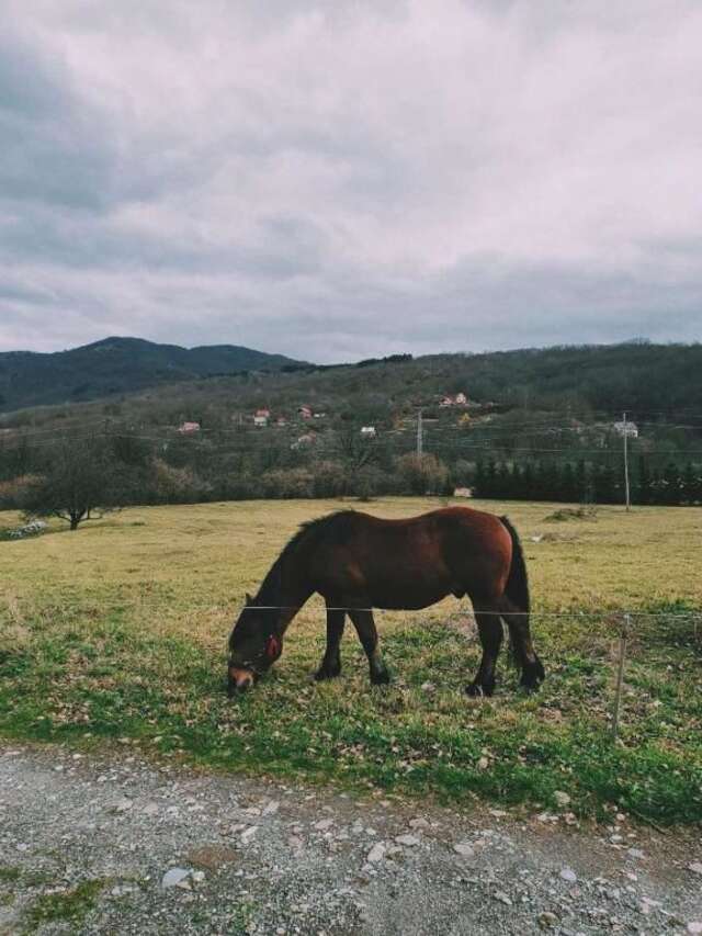 Дома для отпуска Holiday Home Ciara Колашин-107