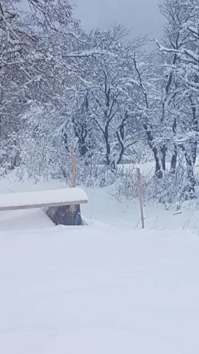 Дома для отпуска Holiday Home Ciara Колашин-73