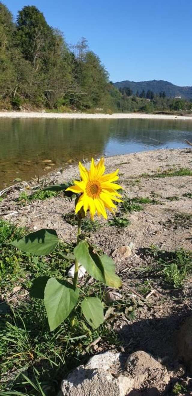 Дома для отпуска Holiday Home Ciara Колашин-79